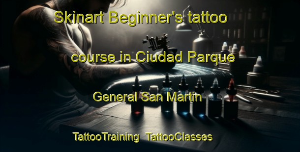 Skinart Beginner's tattoo course in Ciudad Parque General San Martin | TattooTraining | TattooClasses | SkinartTraining-Argentina