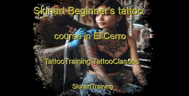 Skinart Beginner's tattoo course in El Cerro | #TattooTraining #TattooClasses #SkinartTraining-Argentina