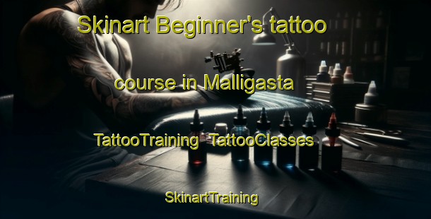 Skinart Beginner's tattoo course in Malligasta | TattooTraining | TattooClasses | SkinartTraining-Argentina