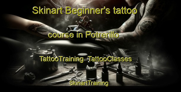 Skinart Beginner's tattoo course in Potrerillo | TattooTraining | TattooClasses | SkinartTraining-Argentina