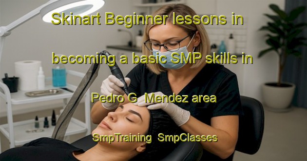 Skinart Beginner lessons in becoming a basic SMP skills in Pedro G  Mendez area | SmpTraining | SmpClasses | SkinartTraining-Argentina