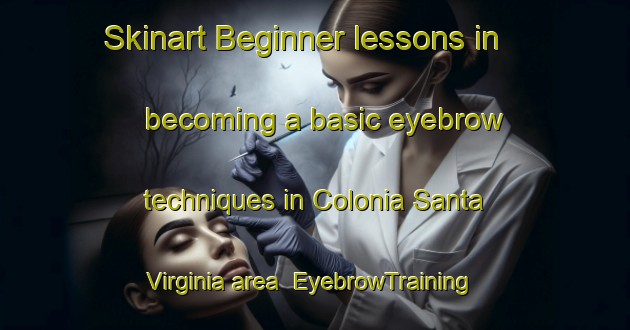 Skinart Beginner lessons in becoming a basic eyebrow techniques in Colonia Santa Virginia area | EyebrowTraining | EyebrowClasses | SkinartTraining-Argentina