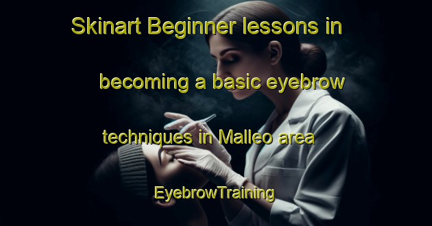 Skinart Beginner lessons in becoming a basic eyebrow techniques in Malleo area | EyebrowTraining | EyebrowClasses | SkinartTraining-Argentina