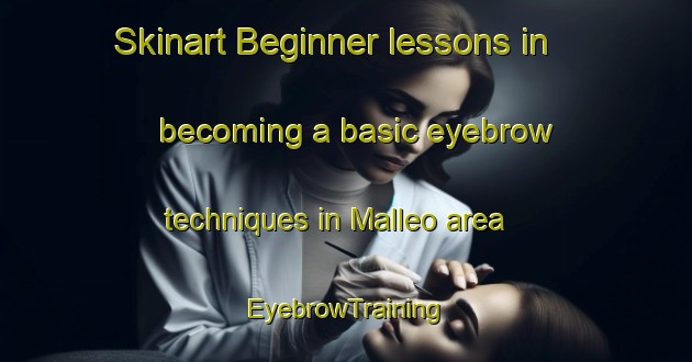 Skinart Beginner lessons in becoming a basic eyebrow techniques in Malleo area | EyebrowTraining | EyebrowClasses | SkinartTraining-Argentina
