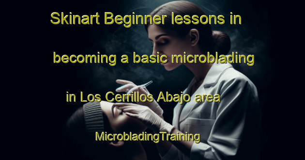 Skinart Beginner lessons in becoming a basic microblading in Los Cerrillos Abajo area | MicrobladingTraining | MicrobladingClasses | SkinartTraining-Argentina