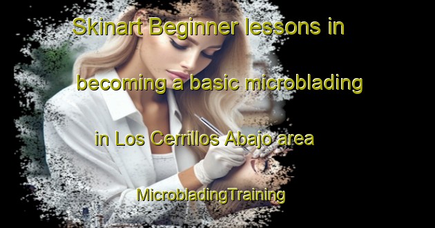Skinart Beginner lessons in becoming a basic microblading in Los Cerrillos Abajo area | MicrobladingTraining | MicrobladingClasses | SkinartTraining-Argentina