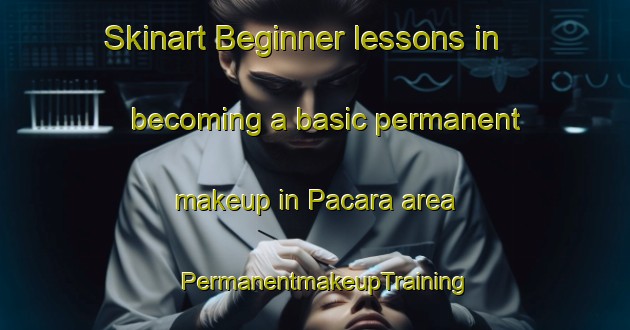 Skinart Beginner lessons in becoming a basic permanent makeup in Pacara area | PermanentmakeupTraining | PermanentmakeupClasses | SkinartTraining-Argentina