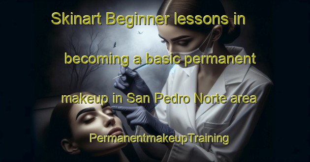 Skinart Beginner lessons in becoming a basic permanent makeup in San Pedro Norte area | PermanentmakeupTraining | PermanentmakeupClasses | SkinartTraining-Argentina