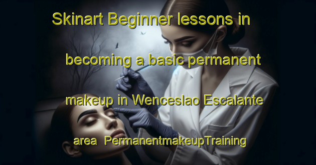 Skinart Beginner lessons in becoming a basic permanent makeup in Wenceslao Escalante area | PermanentmakeupTraining | PermanentmakeupClasses | SkinartTraining-Argentina