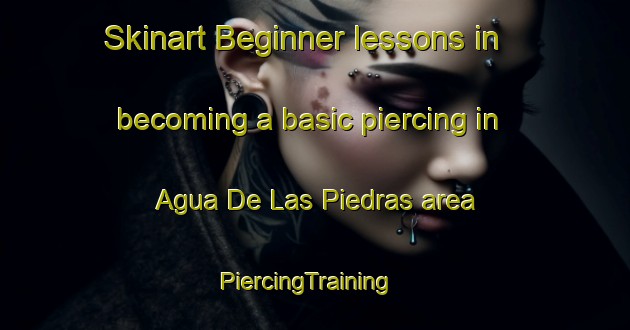 Skinart Beginner lessons in becoming a basic piercing in Agua De Las Piedras area | PiercingTraining | PiercingClasses | SkinartTraining-Argentina