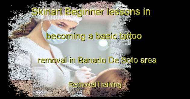 Skinart Beginner lessons in becoming a basic tattoo removal in Banado De Soto area | RemovalTraining | RemovalClasses | SkinartTraining-Argentina