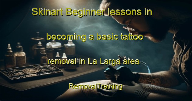 Skinart Beginner lessons in becoming a basic tattoo removal in La Larga area | RemovalTraining | RemovalClasses | SkinartTraining-Argentina