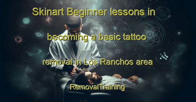 Skinart Beginner lessons in becoming a basic tattoo removal in Los Ranchos area | RemovalTraining | RemovalClasses | SkinartTraining-Argentina