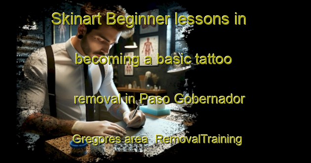 Skinart Beginner lessons in becoming a basic tattoo removal in Paso Gobernador Gregores area | RemovalTraining | RemovalClasses | SkinartTraining-Argentina