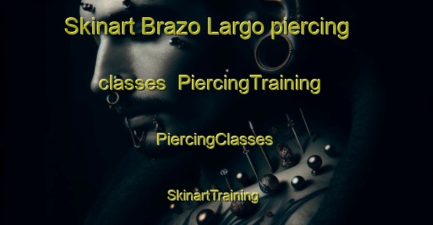 Skinart Brazo Largo piercing classes | #PiercingTraining #PiercingClasses #SkinartTraining-Argentina