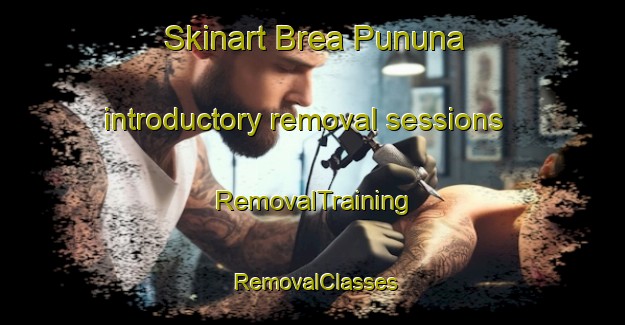 Skinart Brea Pununa introductory removal sessions | RemovalTraining | RemovalClasses | SkinartTraining-Argentina