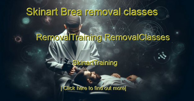 Skinart Brea removal classes | #RemovalTraining #RemovalClasses #SkinartTraining-Argentina