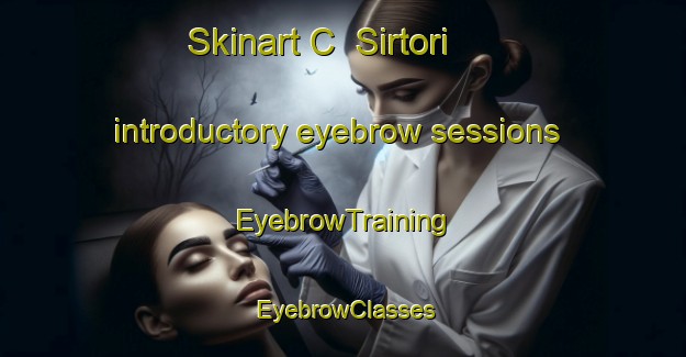 Skinart C  Sirtori introductory eyebrow sessions | EyebrowTraining | EyebrowClasses | SkinartTraining-Argentina