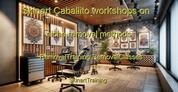 Skinart Caballito workshops on niche removal methods | #RemovalTraining #RemovalClasses #SkinartTraining-Argentina