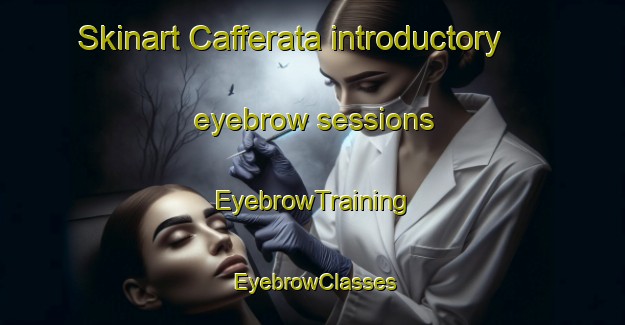 Skinart Cafferata introductory eyebrow sessions | EyebrowTraining | EyebrowClasses | SkinartTraining-Argentina