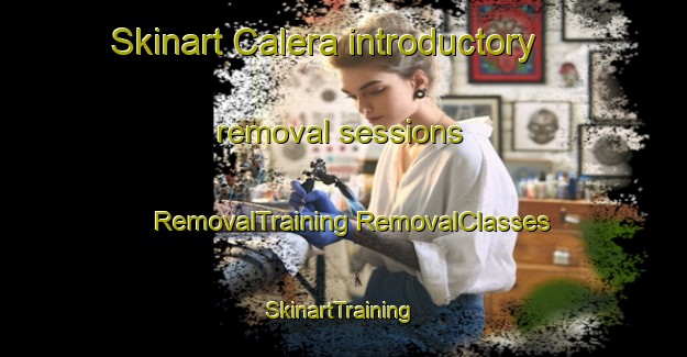 Skinart Calera introductory removal sessions | #RemovalTraining #RemovalClasses #SkinartTraining-Argentina