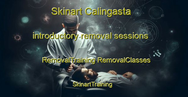 Skinart Calingasta introductory removal sessions | #RemovalTraining #RemovalClasses #SkinartTraining-Argentina