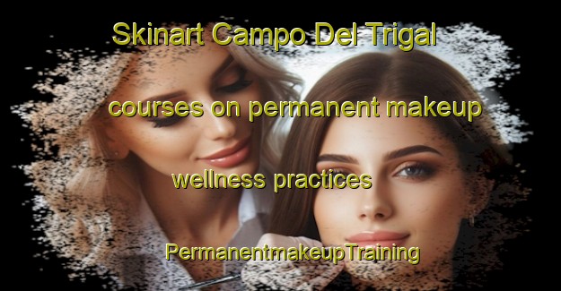 Skinart Campo Del Trigal courses on permanent makeup wellness practices | #PermanentmakeupTraining #PermanentmakeupClasses #SkinartTraining-Argentina