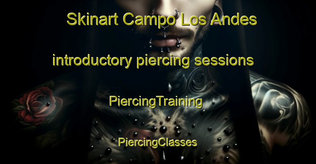 Skinart Campo Los Andes introductory piercing sessions | #PiercingTraining #PiercingClasses #SkinartTraining-Argentina