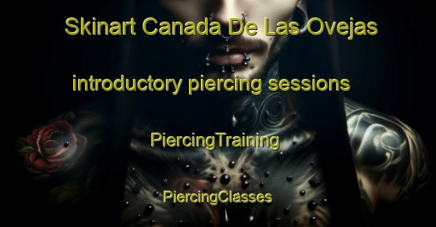 Skinart Canada De Las Ovejas introductory piercing sessions | #PiercingTraining #PiercingClasses #SkinartTraining-Argentina