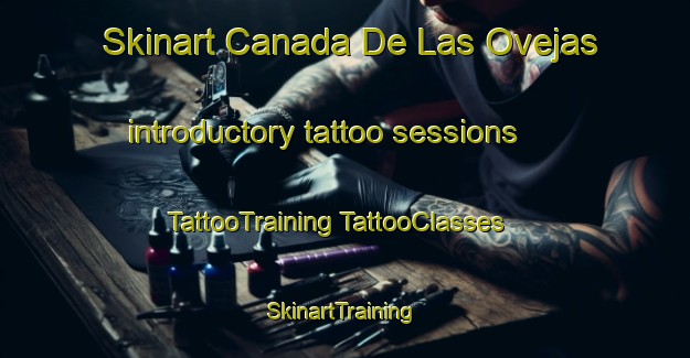 Skinart Canada De Las Ovejas introductory tattoo sessions | #TattooTraining #TattooClasses #SkinartTraining-Argentina