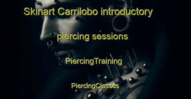 Skinart Carrilobo introductory piercing sessions | #PiercingTraining #PiercingClasses #SkinartTraining-Argentina