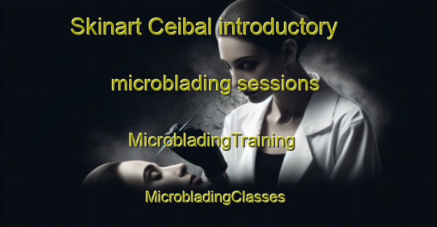 Skinart Ceibal introductory microblading sessions | MicrobladingTraining | MicrobladingClasses | SkinartTraining-Argentina