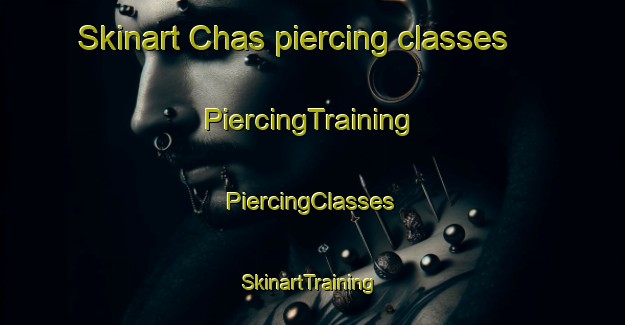 Skinart Chas piercing classes | #PiercingTraining #PiercingClasses #SkinartTraining-Argentina