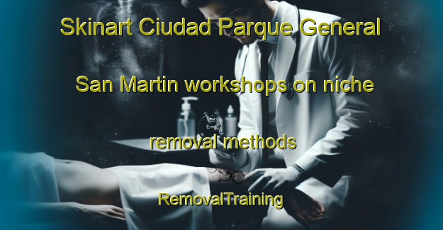 Skinart Ciudad Parque General San Martin workshops on niche removal methods | RemovalTraining | RemovalClasses | SkinartTraining-Argentina