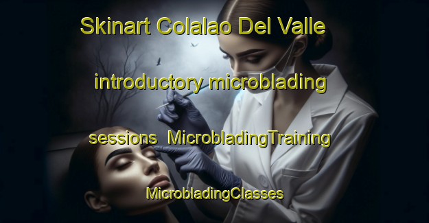 Skinart Colalao Del Valle introductory microblading sessions | #MicrobladingTraining #MicrobladingClasses #SkinartTraining-Argentina