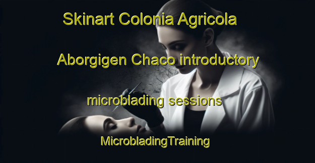 Skinart Colonia Agricola Aborgigen Chaco introductory microblading sessions | #MicrobladingTraining #MicrobladingClasses #SkinartTraining-Argentina