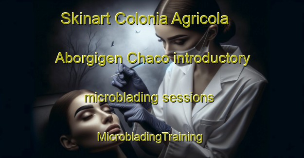 Skinart Colonia Agricola Aborgigen Chaco introductory microblading sessions | #MicrobladingTraining #MicrobladingClasses #SkinartTraining-Argentina