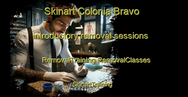 Skinart Colonia Bravo introductory removal sessions | #RemovalTraining #RemovalClasses #SkinartTraining-Argentina