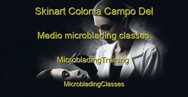 Skinart Colonia Campo Del Medio microblading classes | #MicrobladingTraining #MicrobladingClasses #SkinartTraining-Argentina