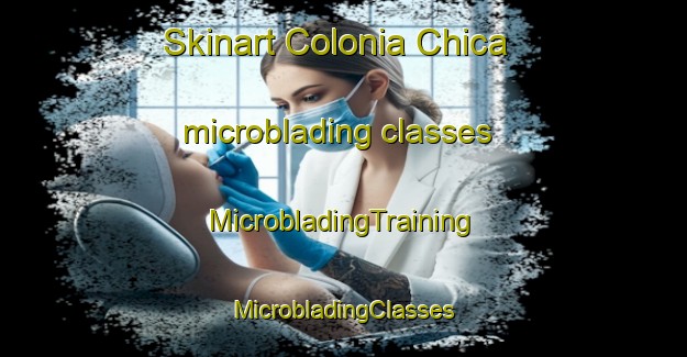 Skinart Colonia Chica microblading classes | #MicrobladingTraining #MicrobladingClasses #SkinartTraining-Argentina