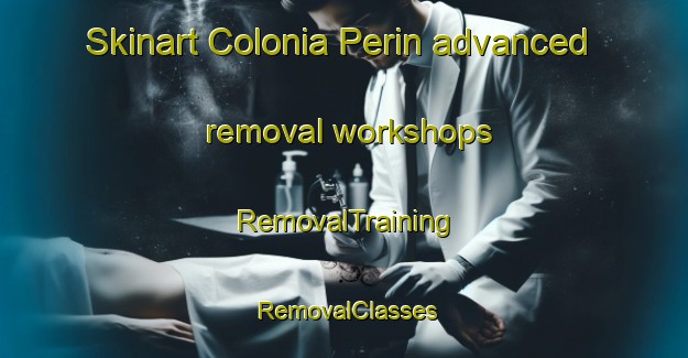 Skinart Colonia Perin advanced removal workshops | RemovalTraining | RemovalClasses | SkinartTraining-Argentina