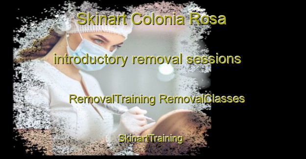 Skinart Colonia Rosa introductory removal sessions | #RemovalTraining #RemovalClasses #SkinartTraining-Argentina