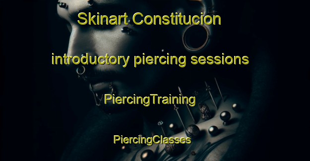 Skinart Constitucion introductory piercing sessions | PiercingTraining | PiercingClasses | SkinartTraining-Argentina
