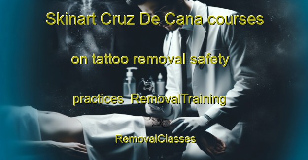 Skinart Cruz De Cana courses on tattoo removal safety practices | RemovalTraining | RemovalClasses | SkinartTraining-Argentina
