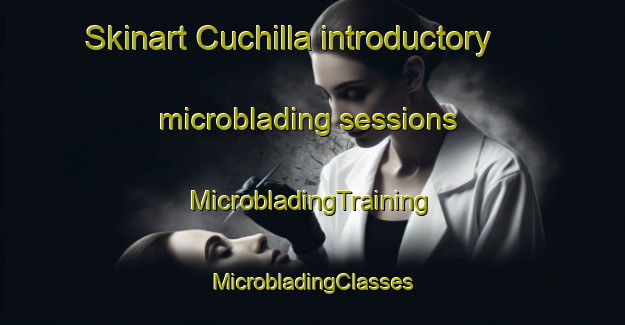 Skinart Cuchilla introductory microblading sessions | #MicrobladingTraining #MicrobladingClasses #SkinartTraining-Argentina