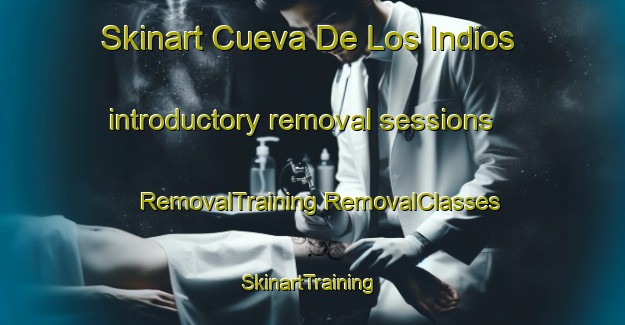 Skinart Cueva De Los Indios introductory removal sessions | #RemovalTraining #RemovalClasses #SkinartTraining-Argentina