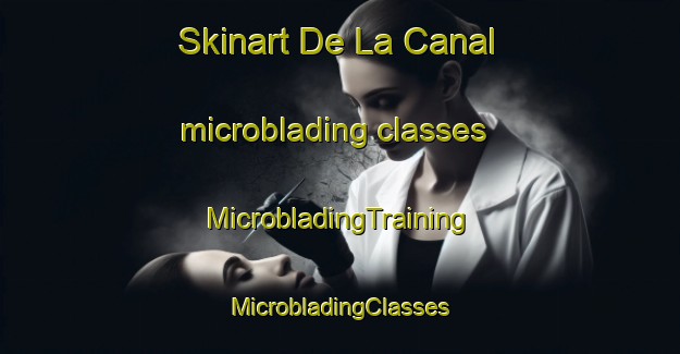 Skinart De La Canal microblading classes | #MicrobladingTraining #MicrobladingClasses #SkinartTraining-Argentina