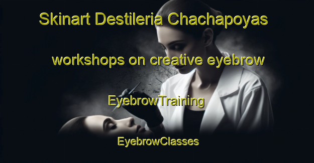 Skinart Destileria Chachapoyas workshops on creative eyebrow | EyebrowTraining | EyebrowClasses | SkinartTraining-Argentina