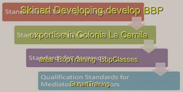 Skinart Developing develop BBP expertise in Colonia La Camila area | BbpTraining | BbpClasses | SkinartTraining-Argentina