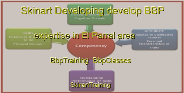 Skinart Developing develop BBP expertise in El Parral area | BbpTraining | BbpClasses | SkinartTraining-Argentina
